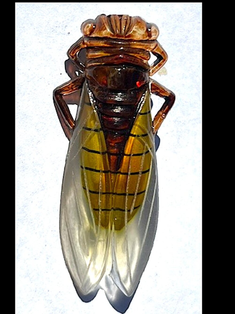Vintage 30s 40s Celluloid CICADA Brooch Pin France